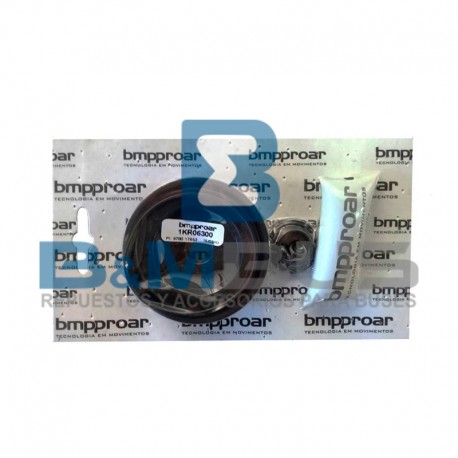 KIT REPARO P/ CILINDRO PUERTA BMP x 7pz